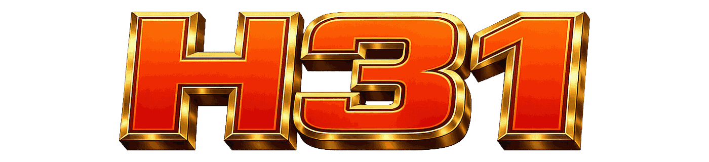 h31
